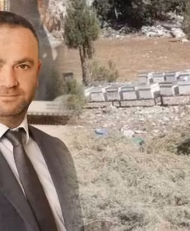 Dünyanın Gözdesi Sütçüler Kekiği İçin Kontrollü Hasat Kararı