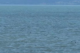 Eğirdir Gölü'nde Katliam Girişimi: Kaçak Ağlar Toplandı