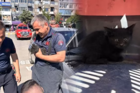 Isparta'da Hareketli Anlar: Motora Sıkışan Yavru Kediyi İtfaiye Kurtardı
