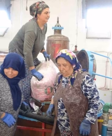Isparta’nın Pembe Altını: 4 Ton Çiçekten 12 Bin Euroluk Mucize