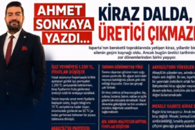 Isparta'nın Yakutu Dalda Kaldı: Kiraz Üreticisi Feryat Ediyor