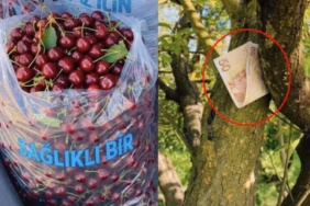 Isparta'yı Karıştıran 50 Liralık Kiraz Fotoğrafı Yapay Zeka Çıktı