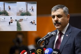 Sokaklarda Başıboş Köpek Kalmayacak: Bakan Çiftçi Yılbaşına İşaret Etti