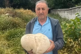 Yalvaç'ta Görenleri Şoke Eden Doğa Mucizesi: 3,5 Kiloluk Dev Mantar