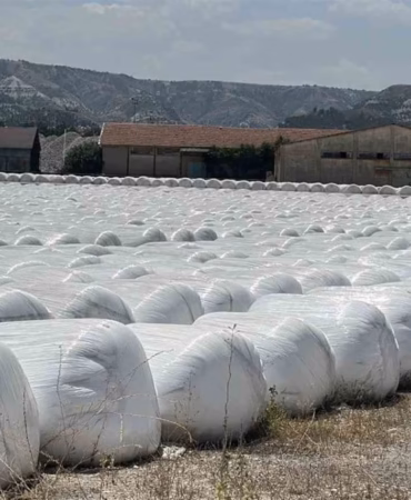 Burdur’da Dayanılmaz Koku: Şeker Fabrikasına Tarihi Ceza