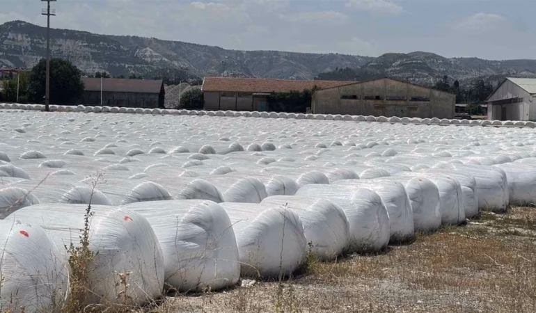 Burdur’da Dayanılmaz Koku: Şeker Fabrikasına Tarihi Ceza