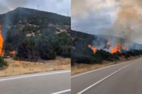 Eğirdir Barla Yolunda Korkutan Orman Yangını: Ekipler Seferber