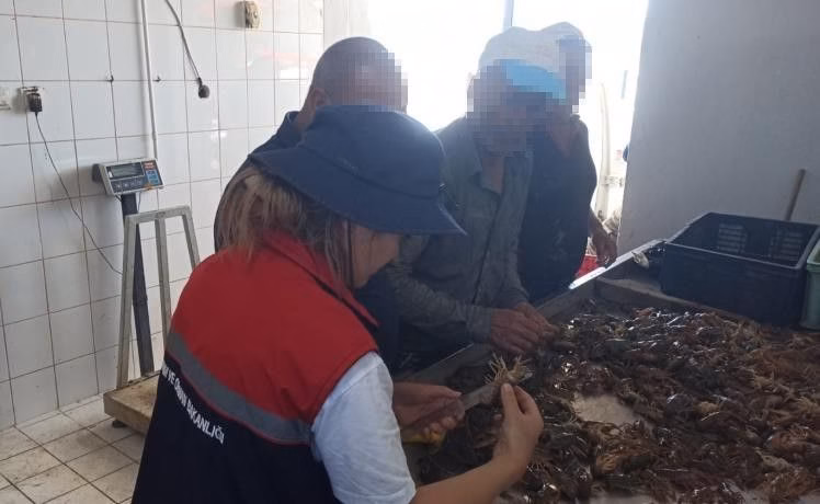 Eğirdir Gölü'nde Sürdürülebilir Balıkçılık İçin Sıkı Denetim