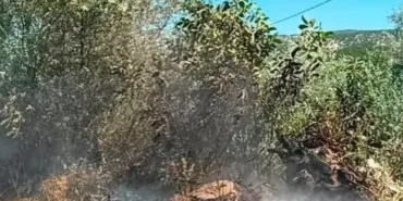 Isparta'da yol kenarında çıkan yangına hızlı müdahale