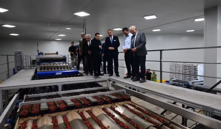 Isparta'nın Kırmızı Elması Çin Pazarı İçin Gün Sayıyor