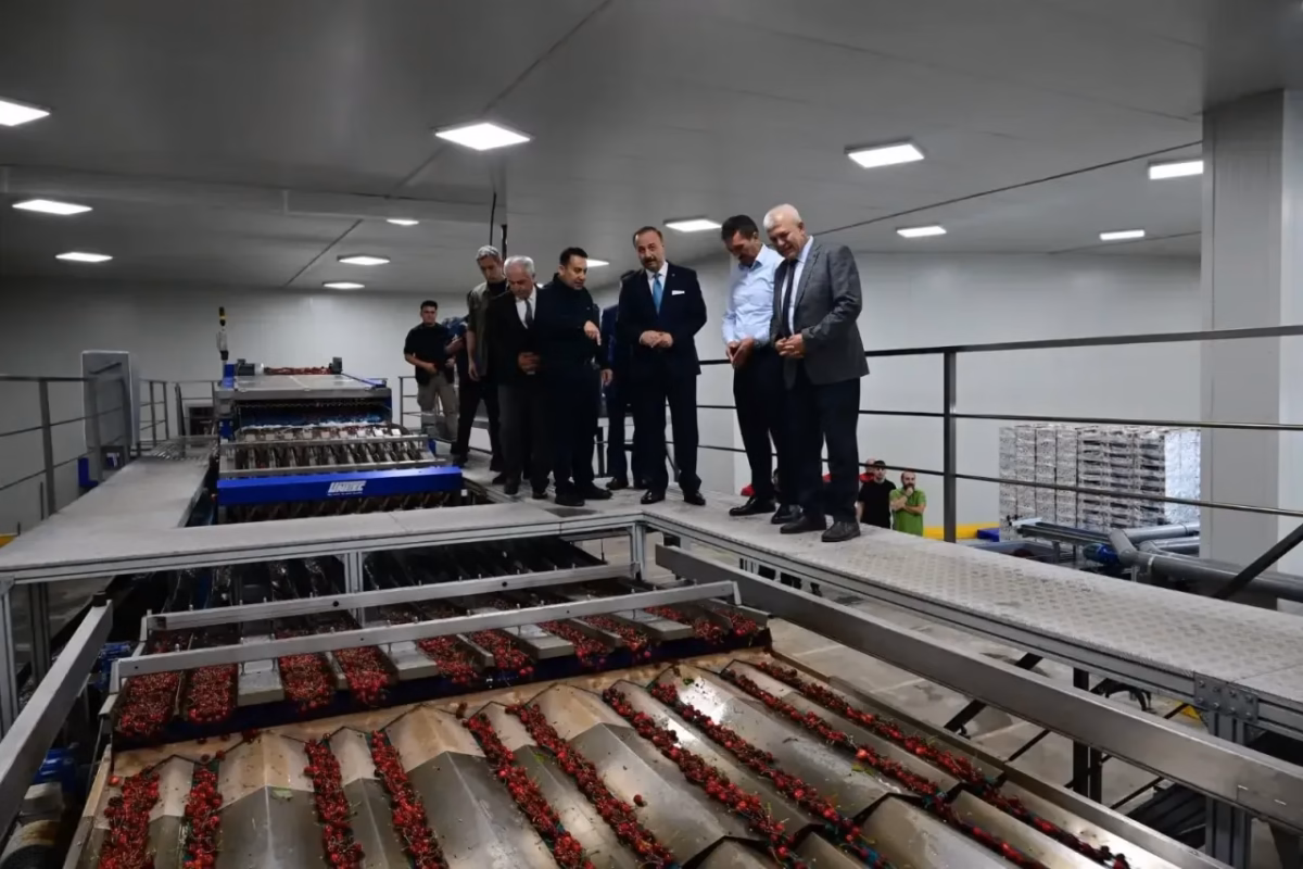 Isparta'nın Kırmızı Elması Çin Pazarı İçin Gün Sayıyor