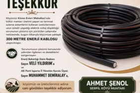 Serpil Köyünde Mantar Üreticisinin Yüzü Güldü: Voltaj Çilesi Sona Erdi