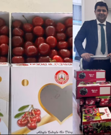 Uluborlu Kirazı İçin TBMM'de Dev Lobi: 600 Vekile Özel İkram