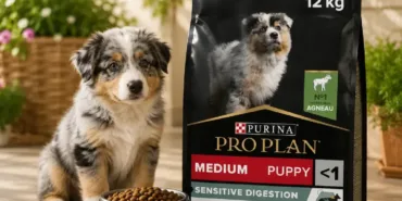 Yetişkin Köpeklerde Doğru Beslenme Hayati Önem Taşıyor: Proplan ile Sağlıklı Bir Yaşam Mümkün