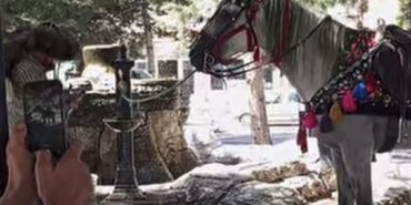 Isparta’da Hortumdan Su İçen At Gündem Oldu!