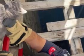 Isparta’da Minik Can İçin Seferberlik: Sağ Salim Kurtarıldı