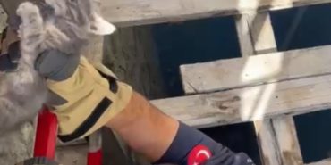 Isparta’da Minik Can İçin Seferberlik: Sağ Salim Kurtarıldı
