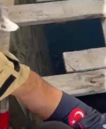 Isparta’da Minik Can İçin Seferberlik: Sağ Salim Kurtarıldı
