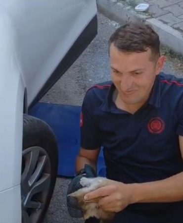 Isparta’da Otomobile Sıkışan Yavru Kedi İçin Nefes Kesen Kurtarma