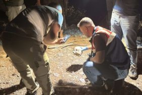 Antalya’da Kan Donduran Keşif: Hayvan Otlatan Çoban Kafatası Buldu