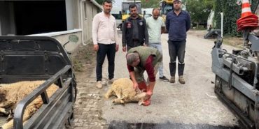Deregümü Yenilendi: Köy Meydanı ve Okul Çevresine Modern Dokunuş