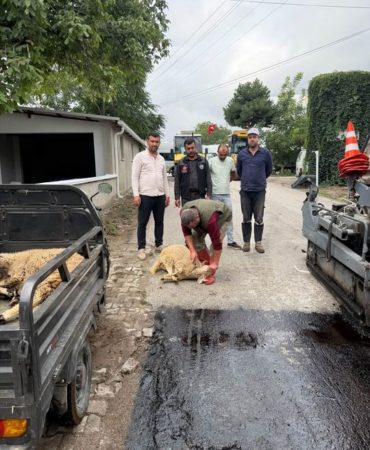 Deregümü Yenilendi: Köy Meydanı ve Okul Çevresine Modern Dokunuş