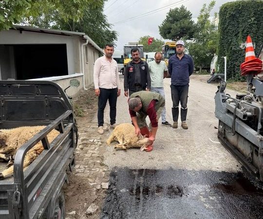 Deregümü Yenilendi: Köy Meydanı ve Okul Çevresine Modern Dokunuş