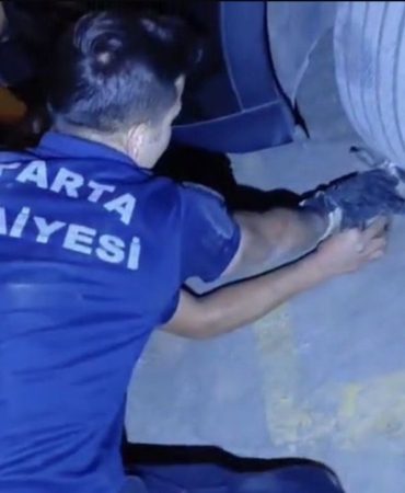 Elektrikli Aracın Gizli Misafiri: İtfaiyeden Nefes Kesen Kurtarma