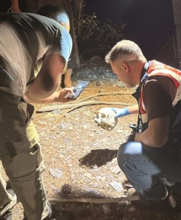 Gazipaşa’da Korkunç Keşif: Çoban Ormanda Kafatası Buldu