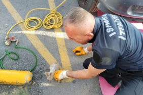 Isparta’da Otomobile Sıkışan Minik Kedi İçin Seferber Oldular