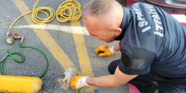 Isparta’da Otomobile Sıkışan Minik Kedi İçin Seferber Oldular