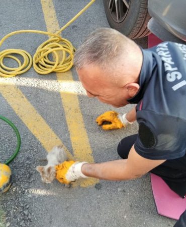 Isparta’da Otomobile Sıkışan Minik Kedi İçin Seferber Oldular
