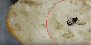 Isparta’da Sofraya Gelen Ekmekten Çıkan Manzara Şaşırttı: Vatandaşlardan Hijyen Çağrısı