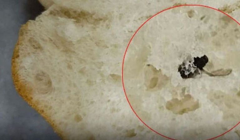 Isparta’da Sofraya Gelen Ekmekten Çıkan Manzara Şaşırttı: Vatandaşlardan Hijyen Çağrısı