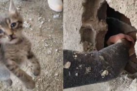 Kepeci’de Binalar Arasına Sıkışan Yavru Kediye İtfaiye Şefkati