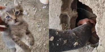 Kepeci’de Binalar Arasına Sıkışan Yavru Kediye İtfaiye Şefkati