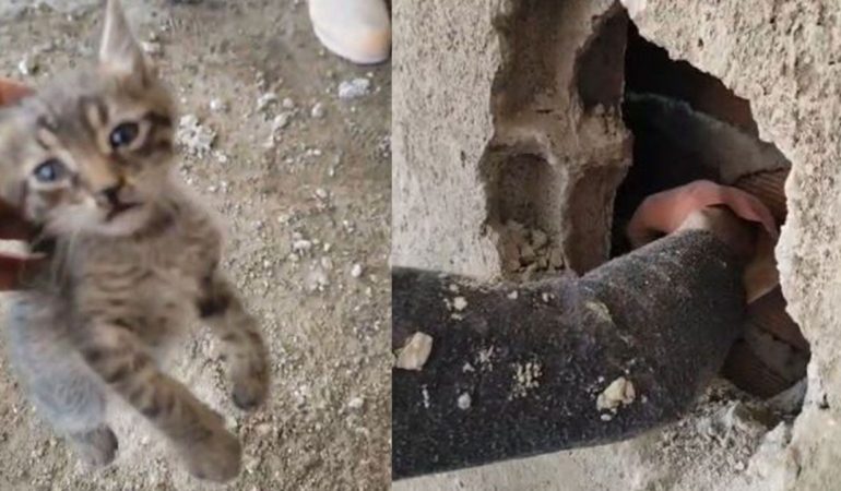 Kepeci’de Binalar Arasına Sıkışan Yavru Kediye İtfaiye Şefkati