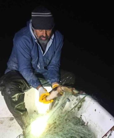 Kovada Gölü’nde Kaçak Avcılara Geçit Yok: 600 Metrelik Ağ Toplandı, Balıklar Suya Döndü