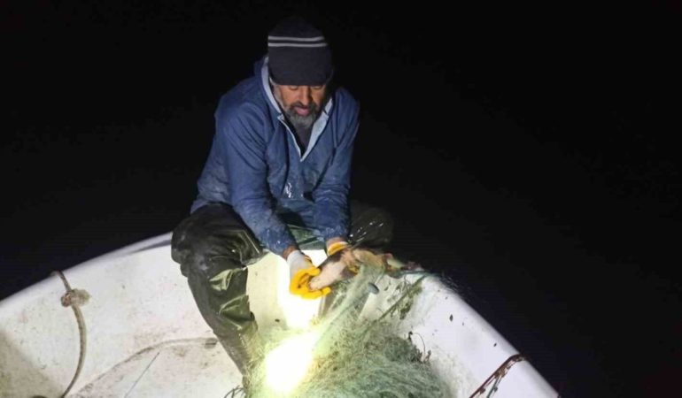 Kovada Gölü’nde Kaçak Avcılara Geçit Yok: 600 Metrelik Ağ Toplandı, Balıklar Suya Döndü