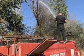 Kuyucak’ta Büyük Tehlike: Alevler Ormana Sıçramadan Durduruldu