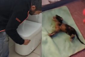 Isparta’da Giderden Gelen Sesler Tüyleri Ürpertti: Minik Can İçin Nefes Kesen Kurtarma Operasyonu!
