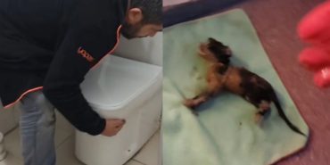 Isparta’da Giderden Gelen Sesler Tüyleri Ürpertti: Minik Can İçin Nefes Kesen Kurtarma Operasyonu!