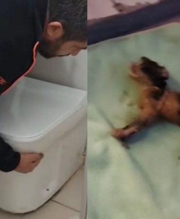 Isparta’da Giderden Gelen Sesler Tüyleri Ürpertti: Minik Can İçin Nefes Kesen Kurtarma Operasyonu!