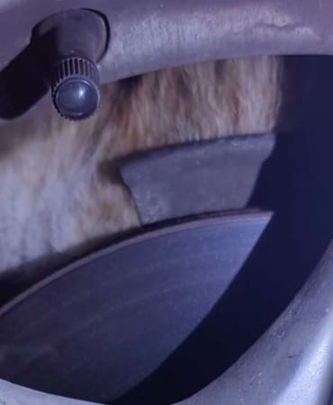 Isparta’da Nefes Kesen Kurtarma Operasyonu: Tekere Sıkışan Kediye Umut Eli Uzandı!
