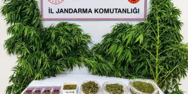 Isparta’da Zehir Tacirlerine Büyük Darbe: 62 Gözaltı, Milyonluk Uyuşturucu Ele Geçirildi!
