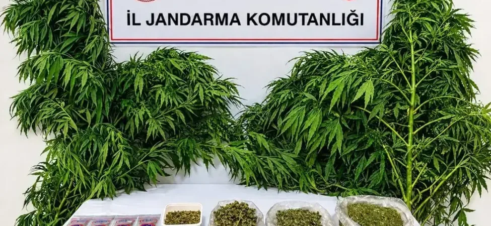 Isparta’da Zehir Tacirlerine Büyük Darbe: 62 Gözaltı, Milyonluk Uyuşturucu Ele Geçirildi!